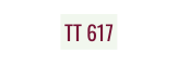 TT 617