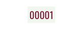 00001