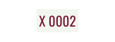 X 0002