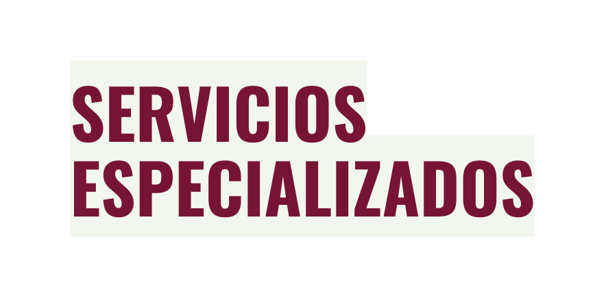 servicios especializados